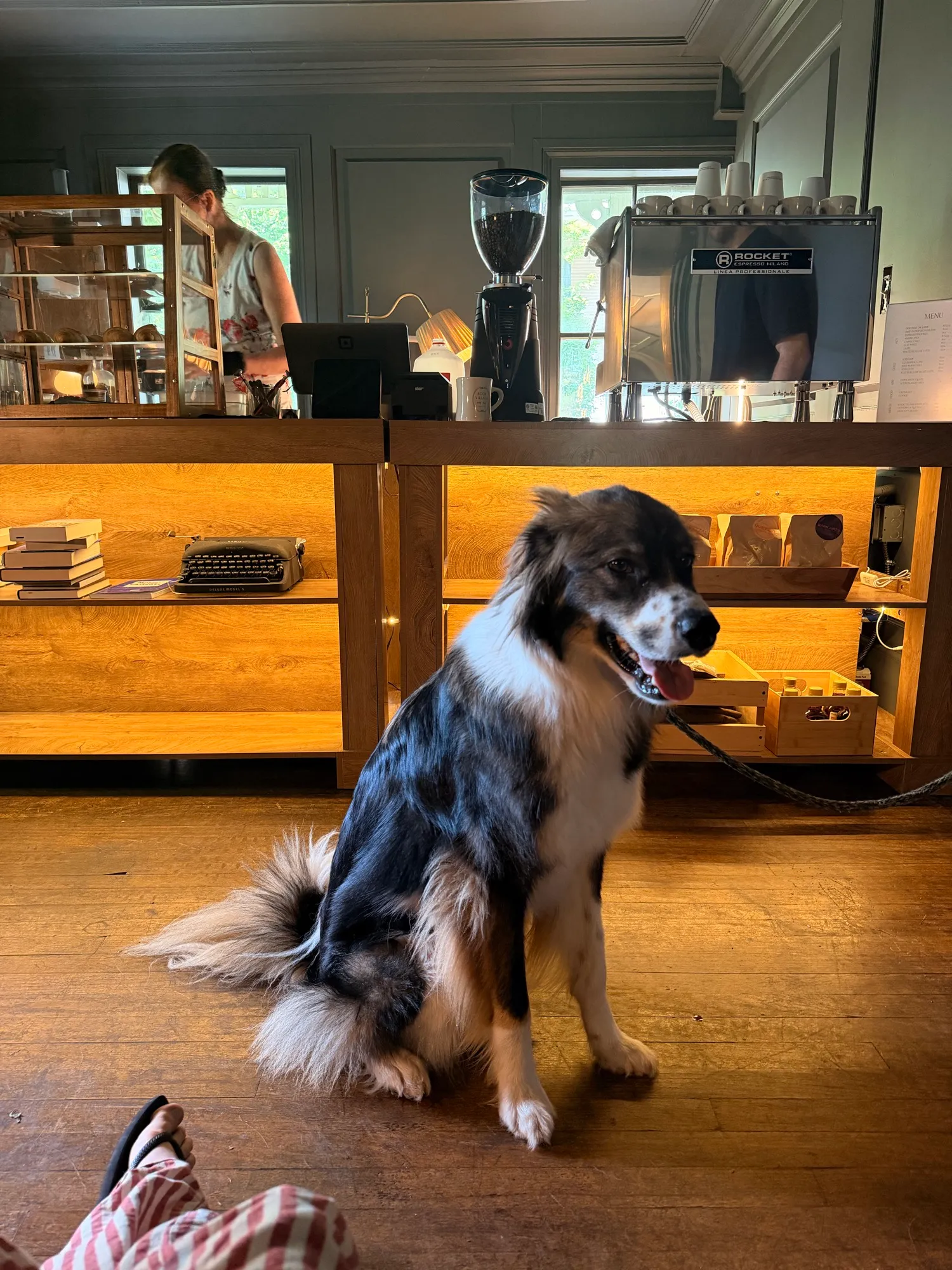 A friendly visitor at the counter